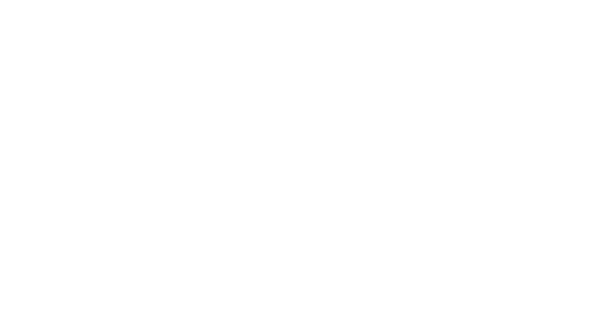 Big Logo